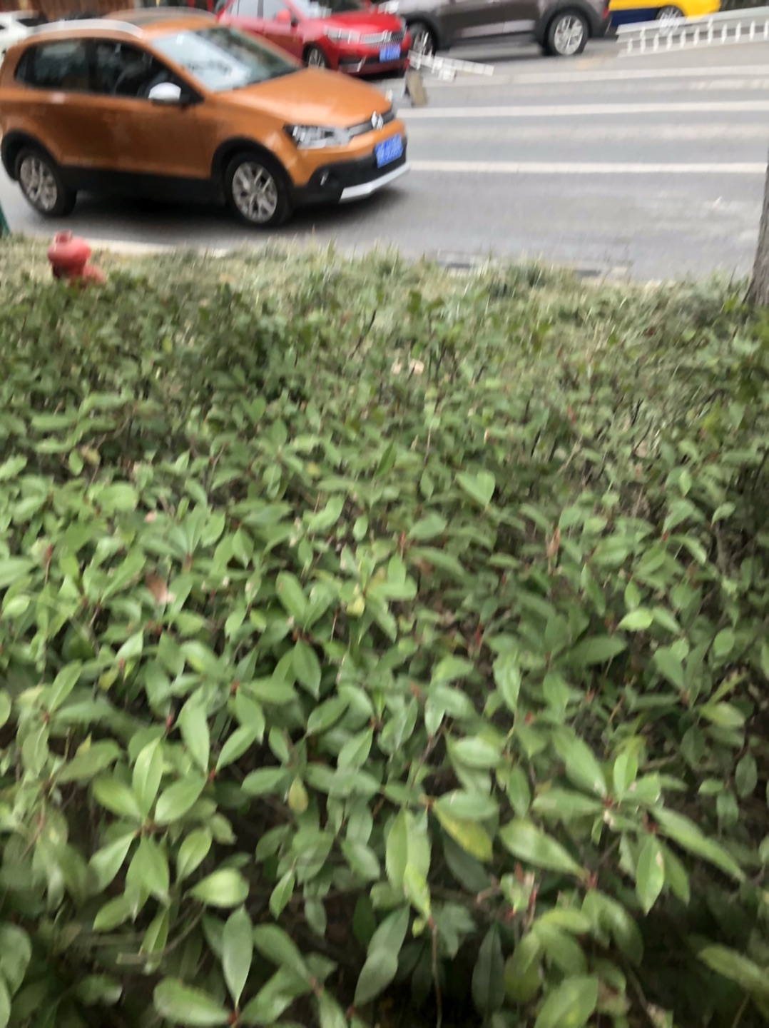 20230205112502front1_0_312540_FlBPikGv-MX6oEdqoFN5qWDZLjqJ.jpg
