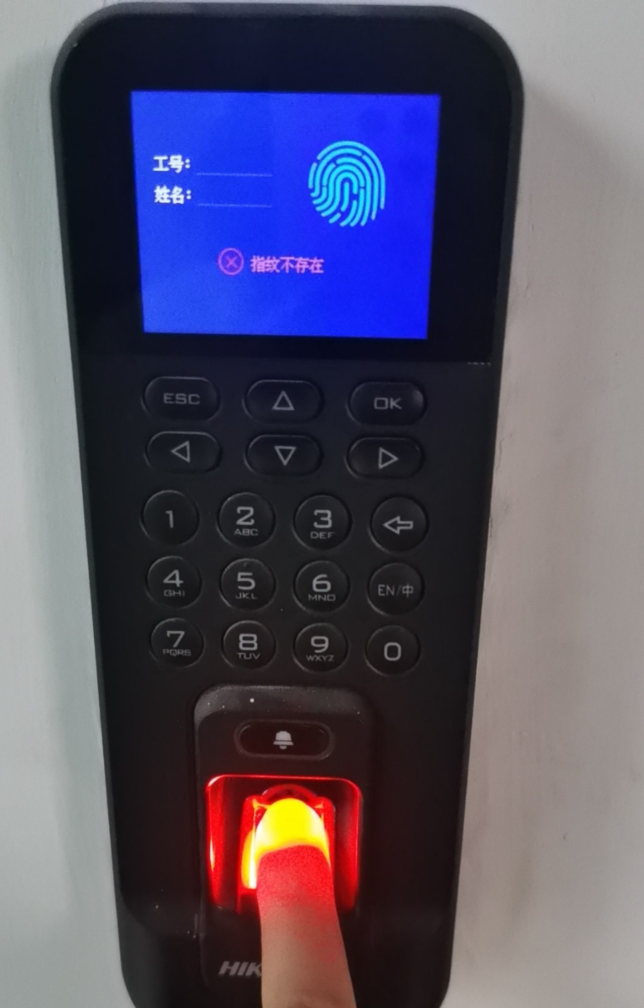 167655263472694112.jpg