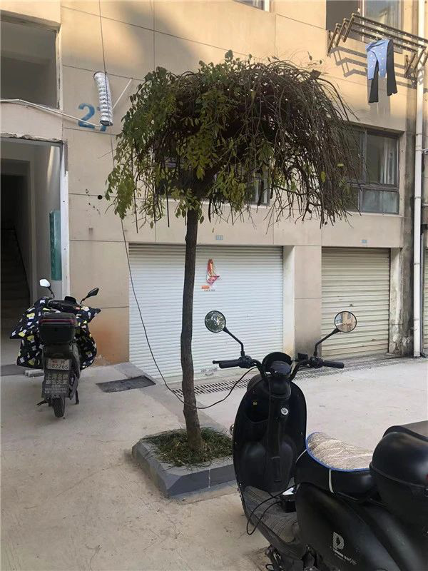 飞线充电.png