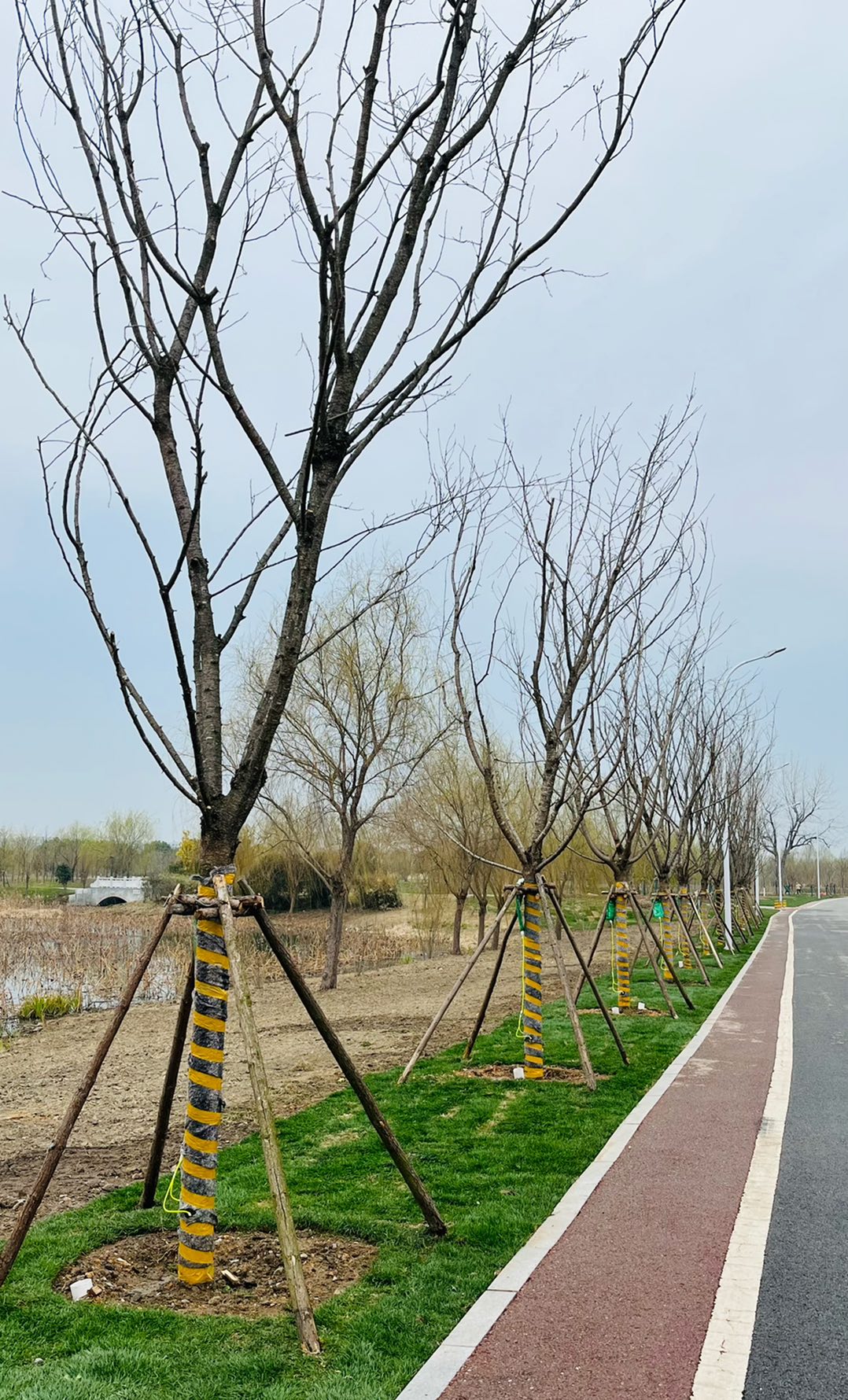 20230228180440front1_0_232566_FjiIn8KLE70A_7LerZSuN6SVOcye.jpg