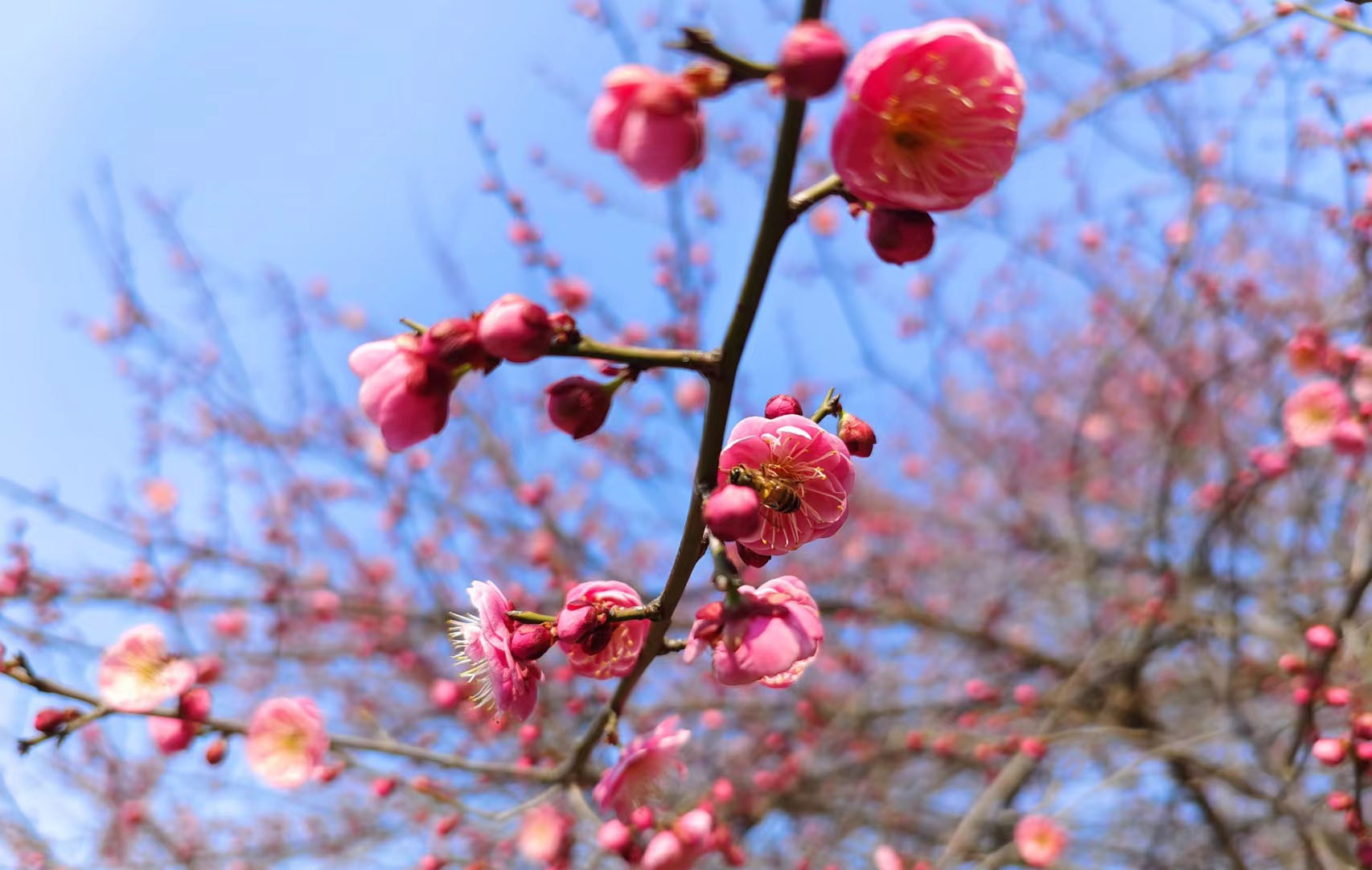 未标题-2.jpg