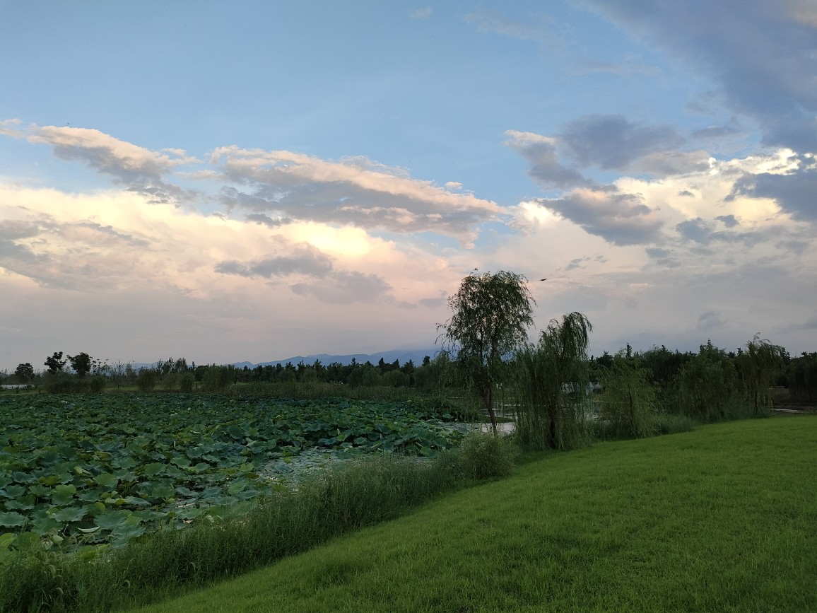 20230327211706front2_0_12337_Fr6STmJgYVVjrp3VeaT3PIUBxo-l.jpg