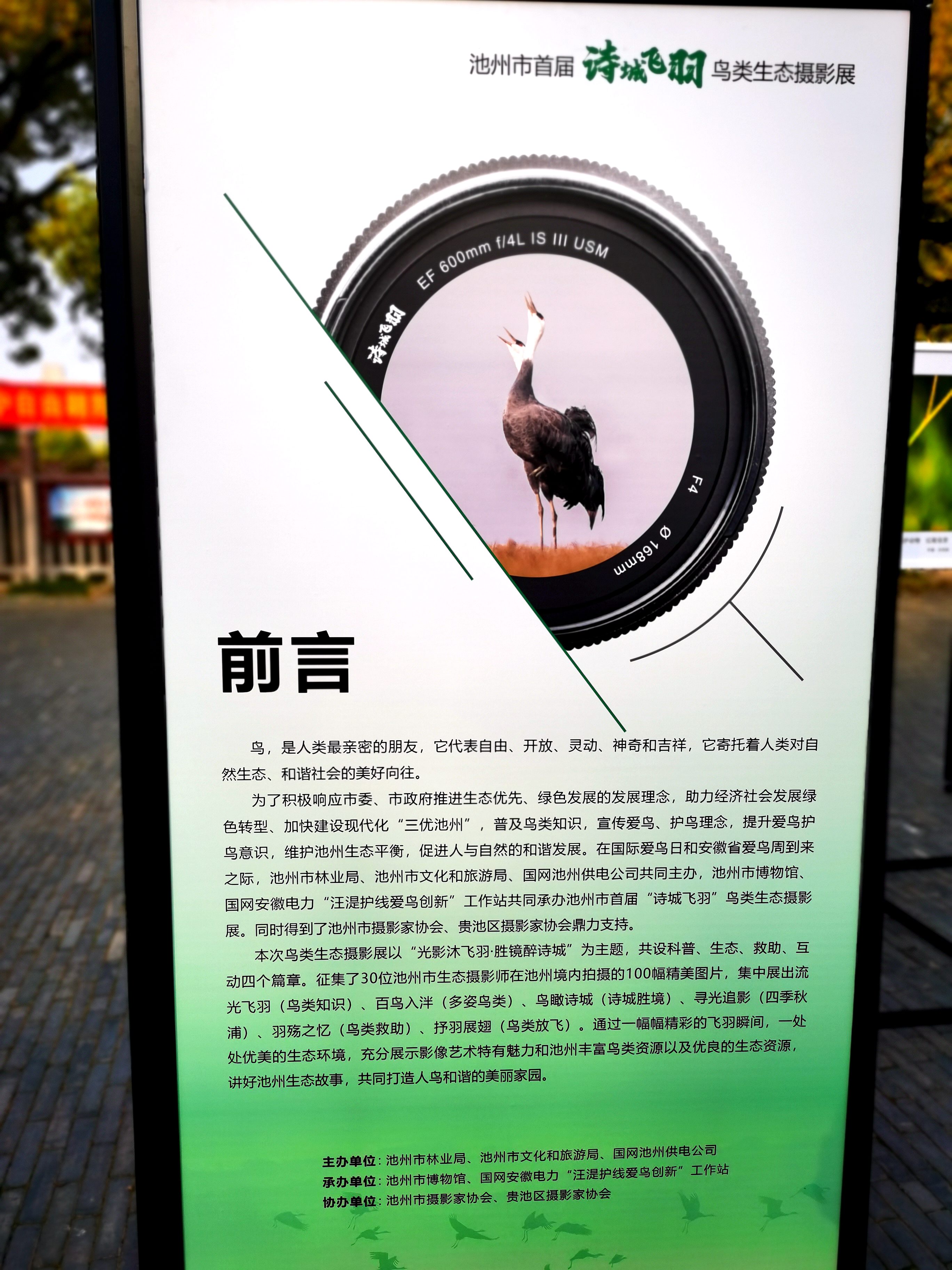 IMG_20230401_075429_副本.jpg