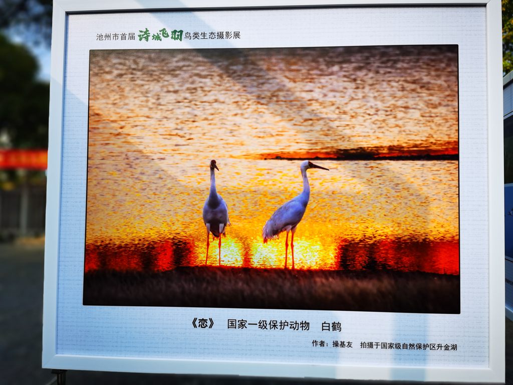 IMG_20230401_075742_副本.jpg