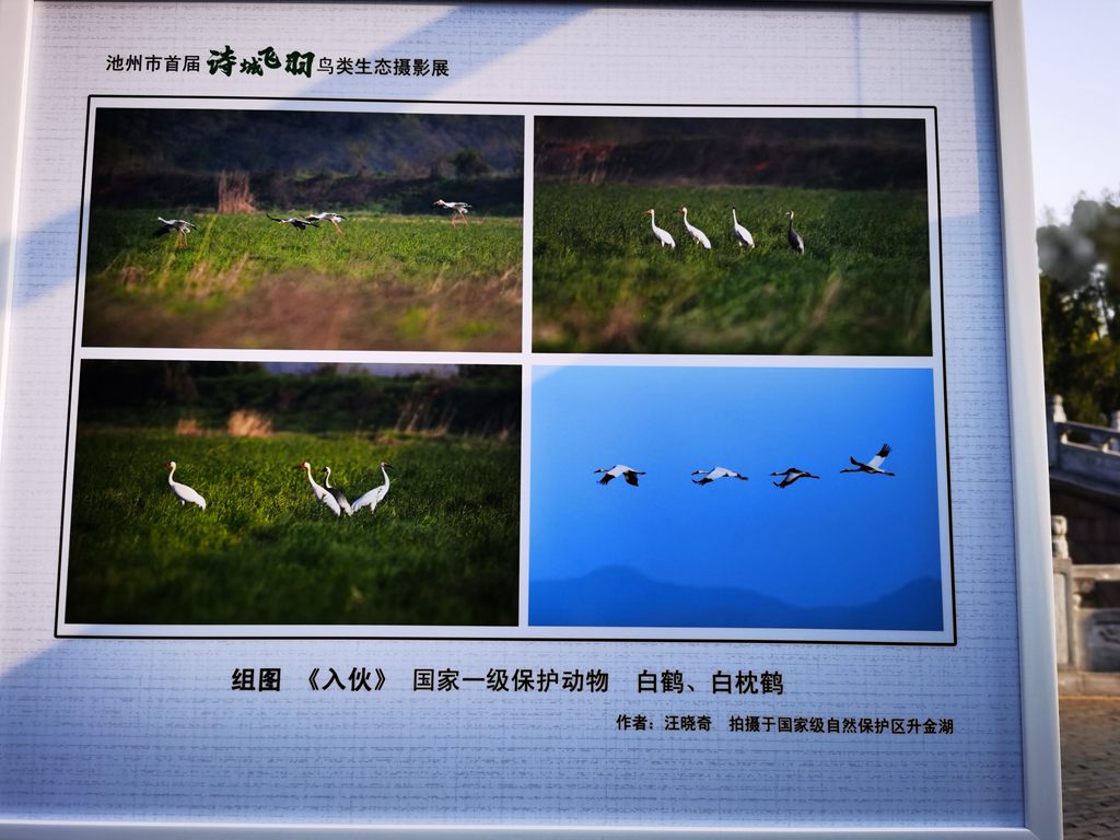 IMG_20230401_075724_副本.jpg