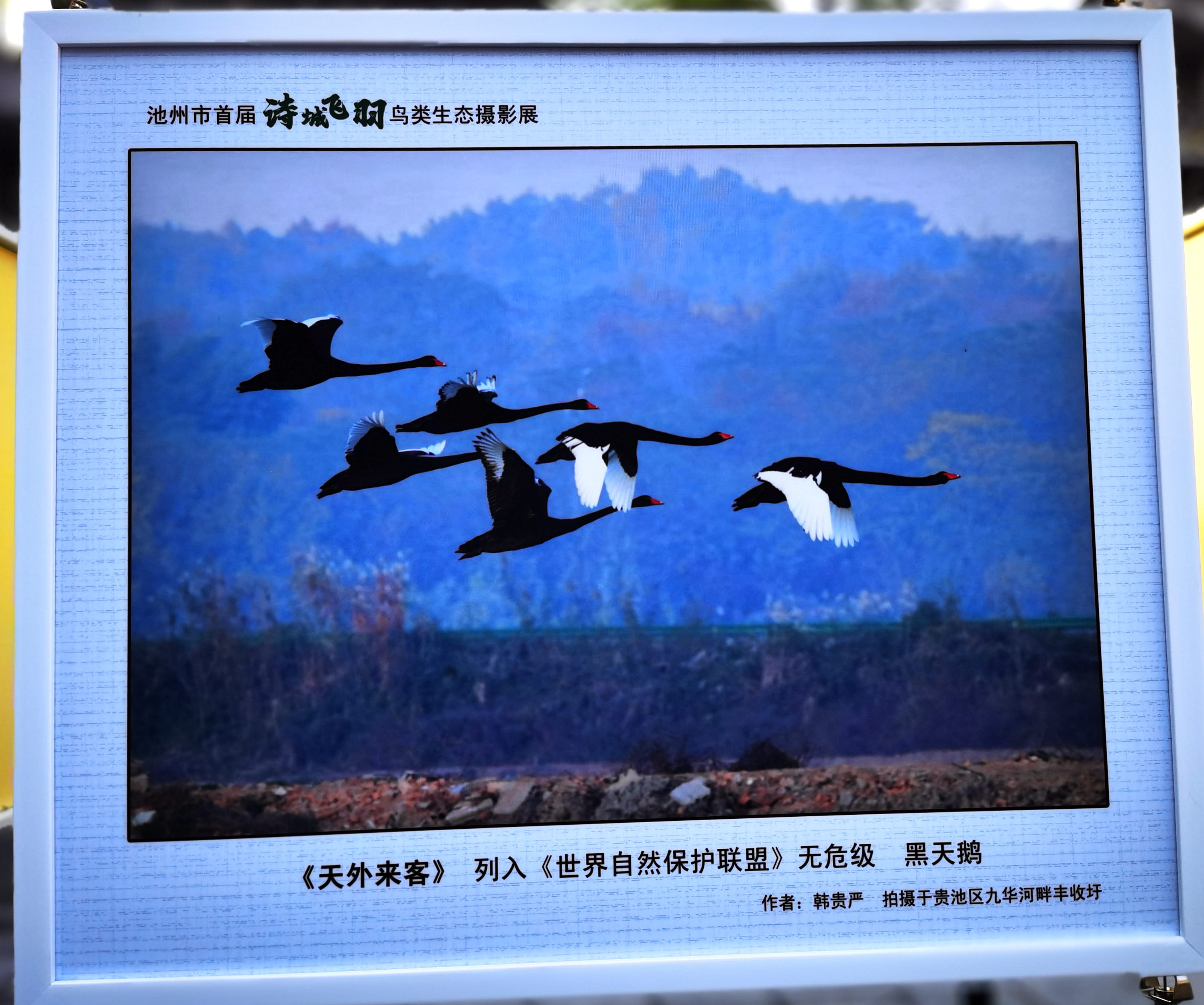 IMG_20230401_081040_副本.jpg