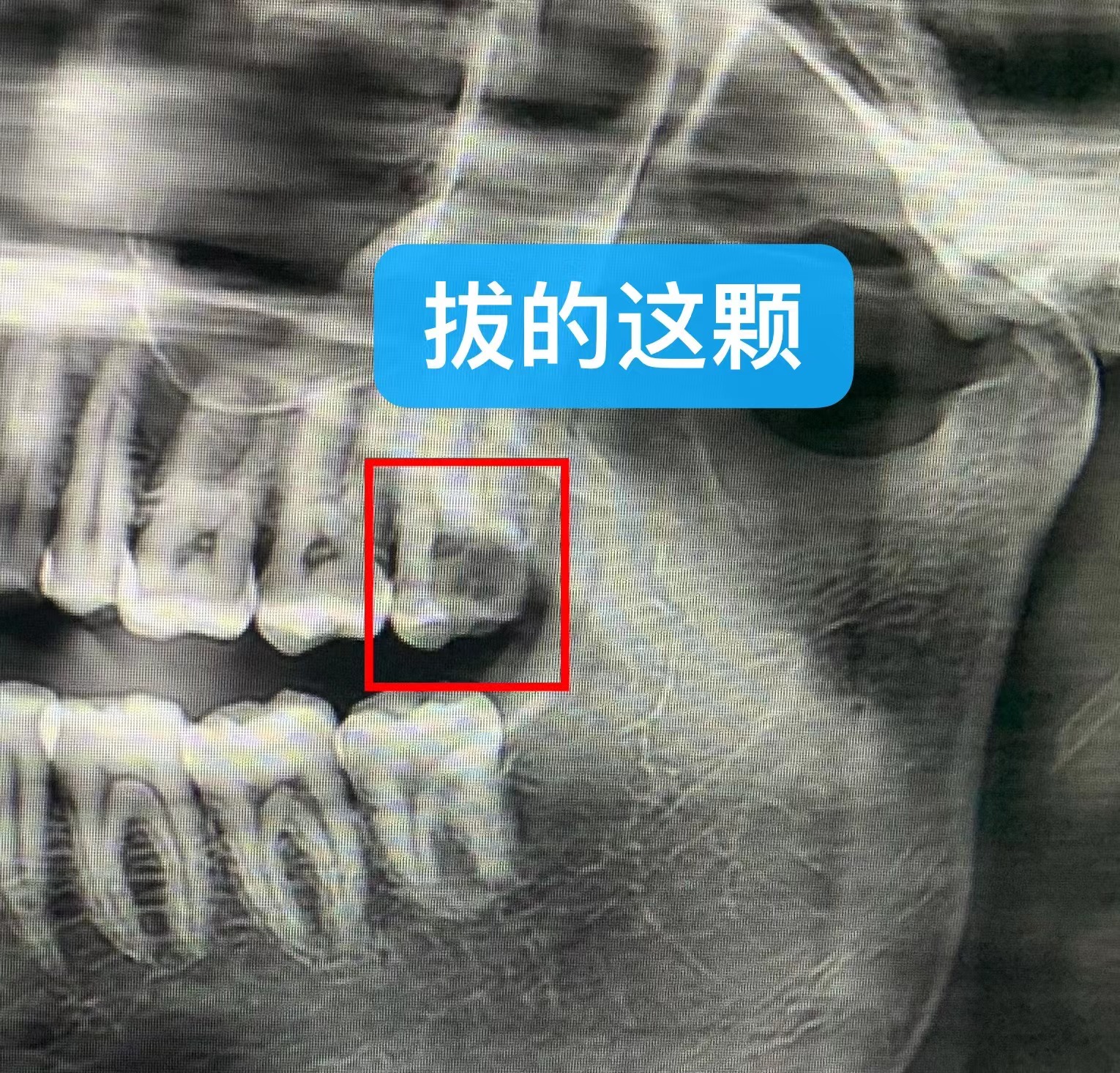 微信图片_20230404154700.jpg