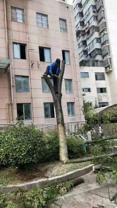 微信图片_20230414172803.jpg