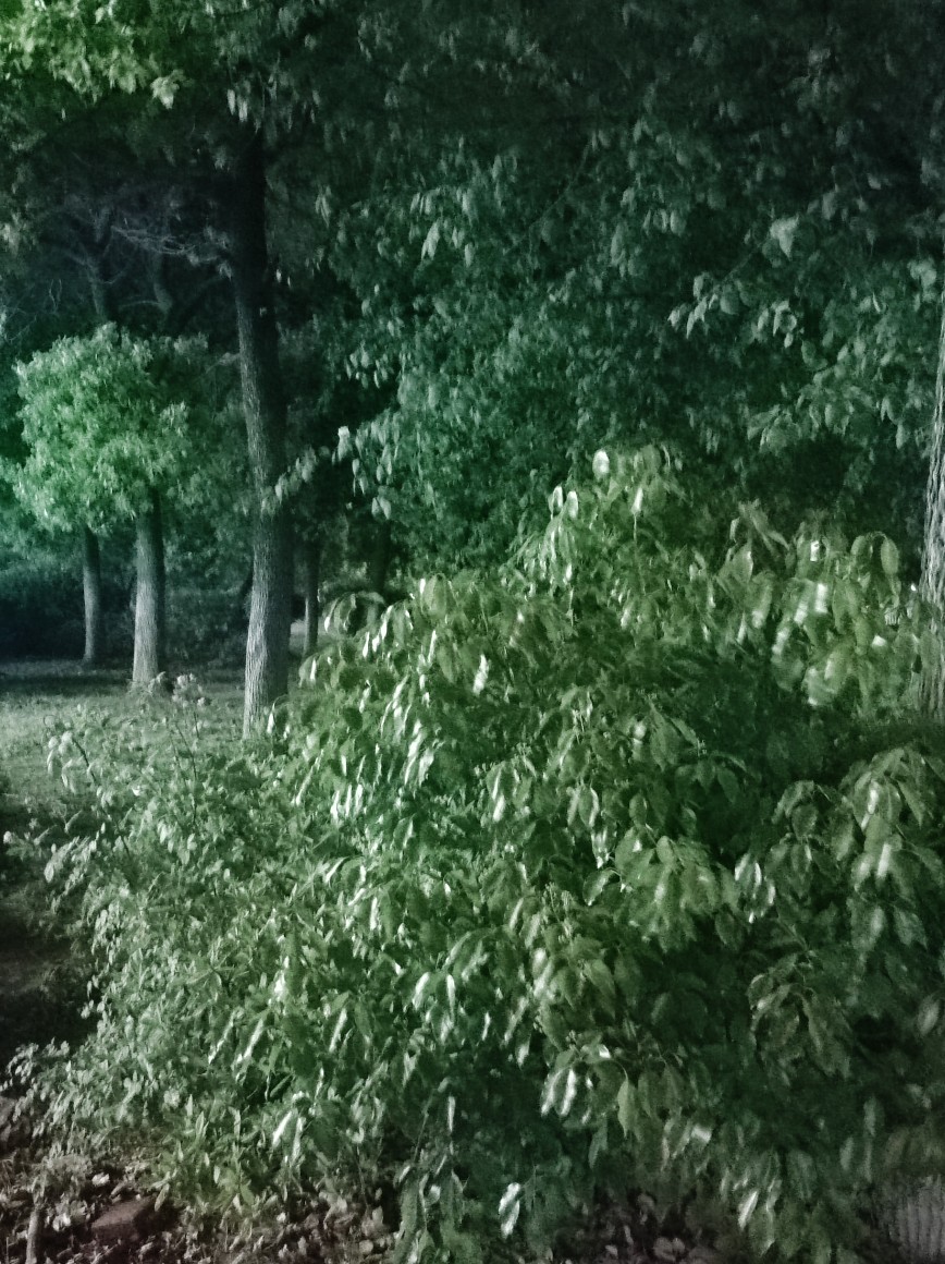 20230421210442front2_0_255700_FizGxZxPN5W_-gs2RUCAfYjpmM1G.jpg