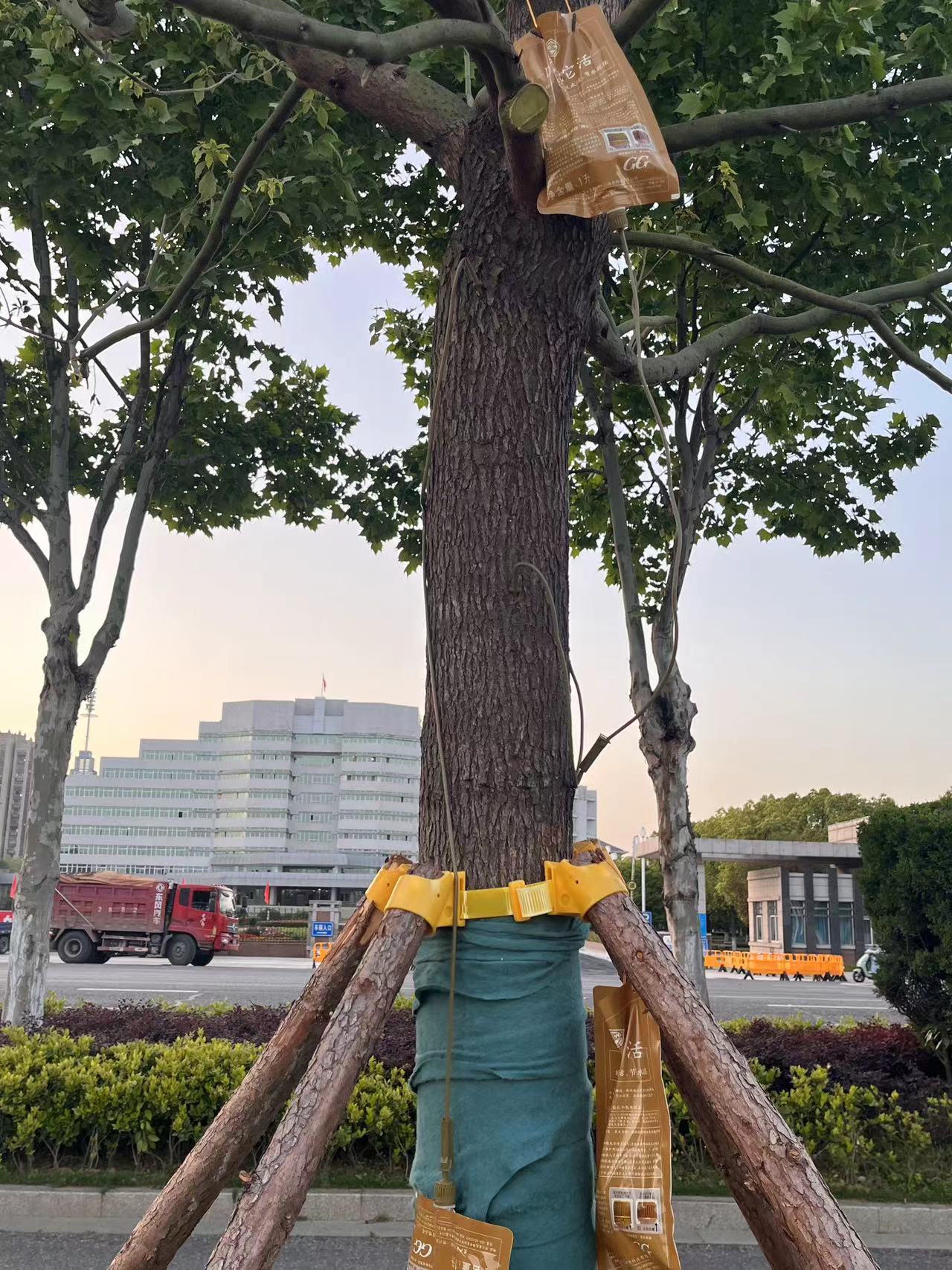 微信图片_20230501184503.jpg