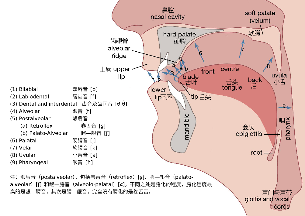 20230501214326front2_0_277401_FmpFPSnD_fguMTka_emSnKqnDebH.png