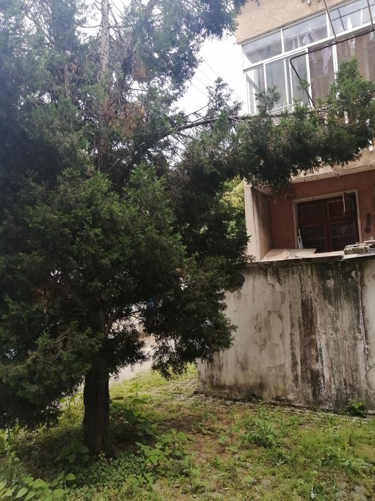 20230502111243front2_0_243762_FpRGYkV1gTZC-NtYy6ZnV0cIb0nd.jpg