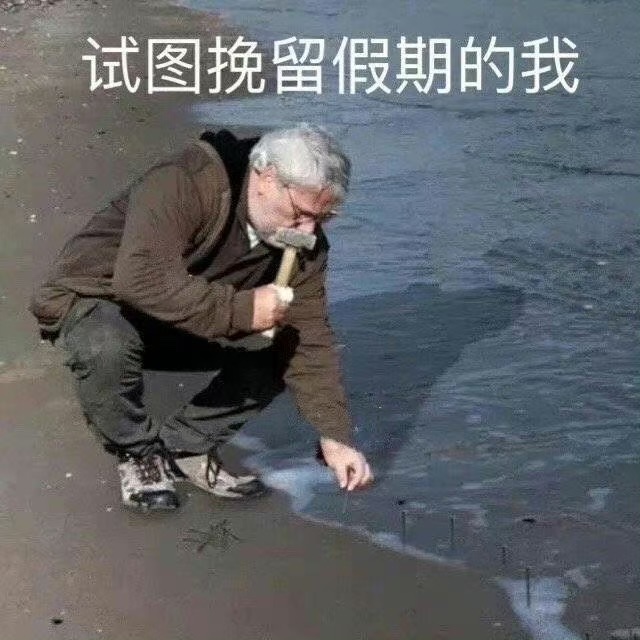 168311332433549829.jpeg
