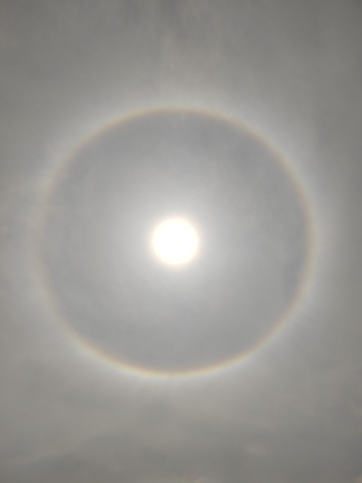 20230513110857front2_0_238686_FpdvkqNfaOj6qbumBHMilgjWz_-k.jpg