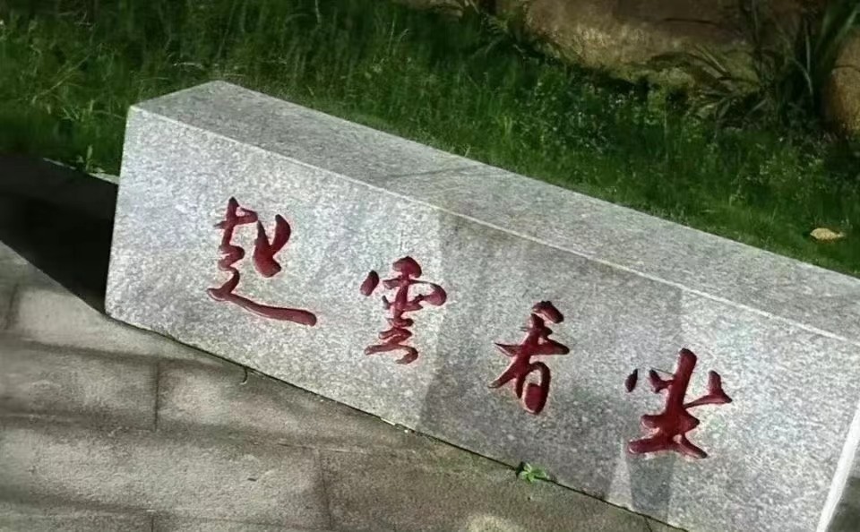 168515458228637324.jpg
