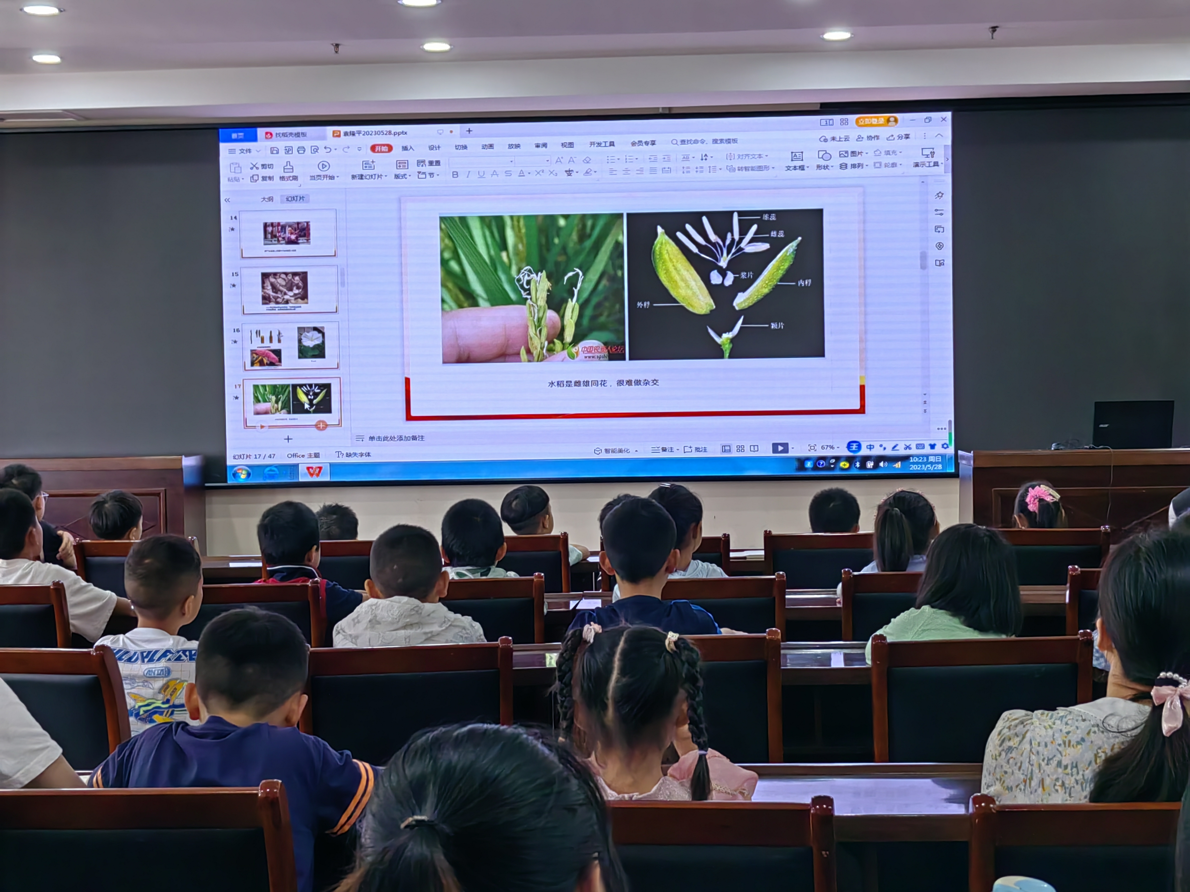 微信图片_20230528153302.jpg