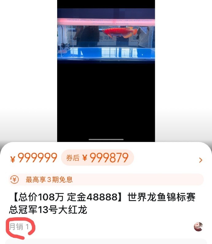 168535133257621937.jpg