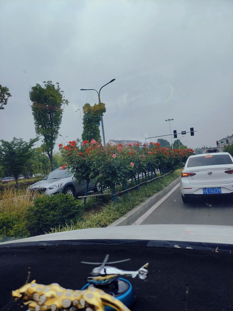 20230614111559front2_0_381739_Fl8NEPk1m-wKg5mw6VbU92gtDIy_.jpg