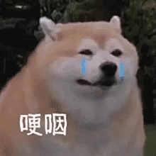 20230616205118front2_0_350766_FjKF40b0Zz3mbbSwK7l89ruIzc8T.gif