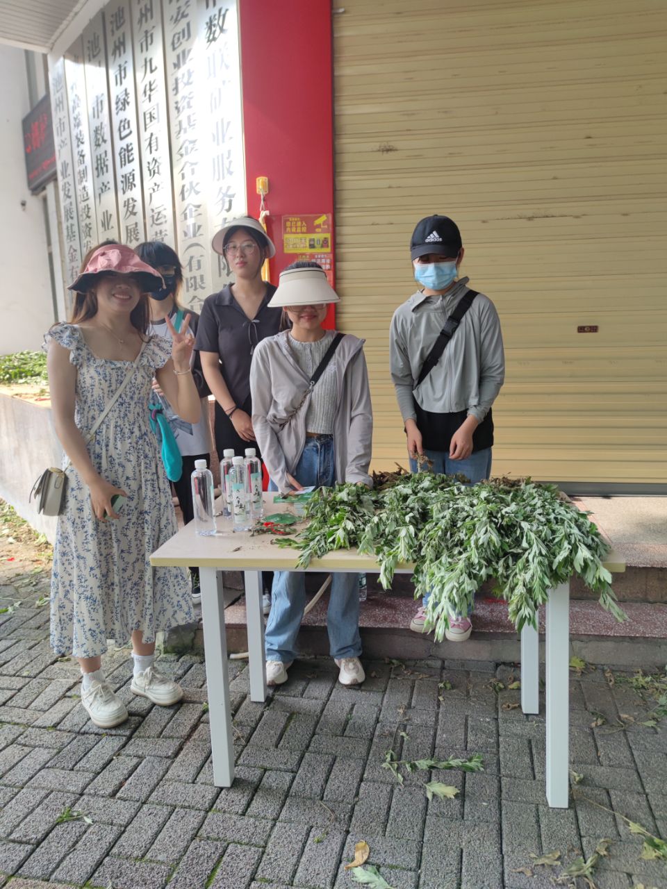 20230621090326front2_0_191522_FgO6I01sMAQcd2ZYSfQStB_Coseb.jpg