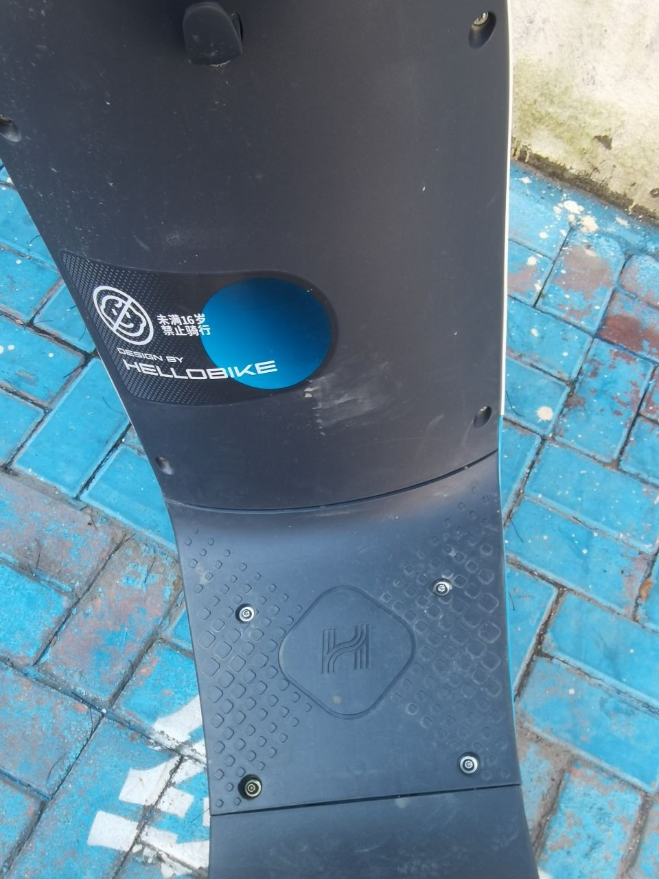 168793431165797313.jpg