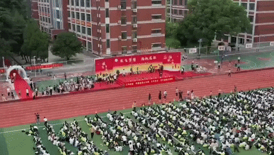 4.gif