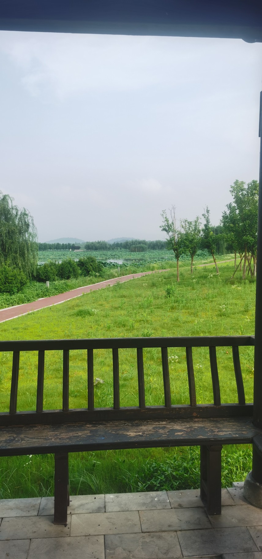 20230701193938front2_0_332588_Fre6dCy-TFxMSCViRA1FLx421S7F.jpg