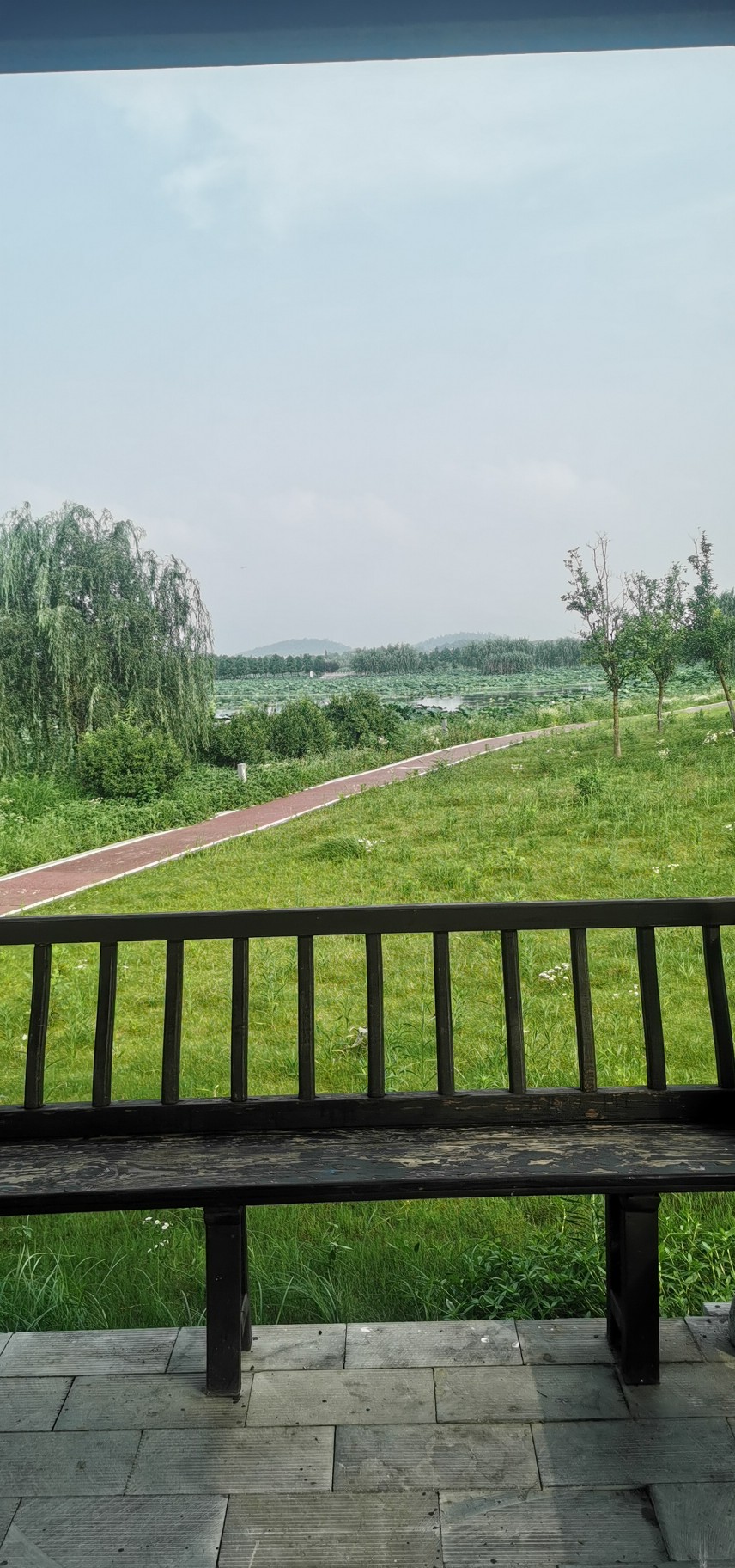 20230701193938front2_0_332588_FmkqoNmI0XdqX1RuZXJ-wBAc2OiB.jpg