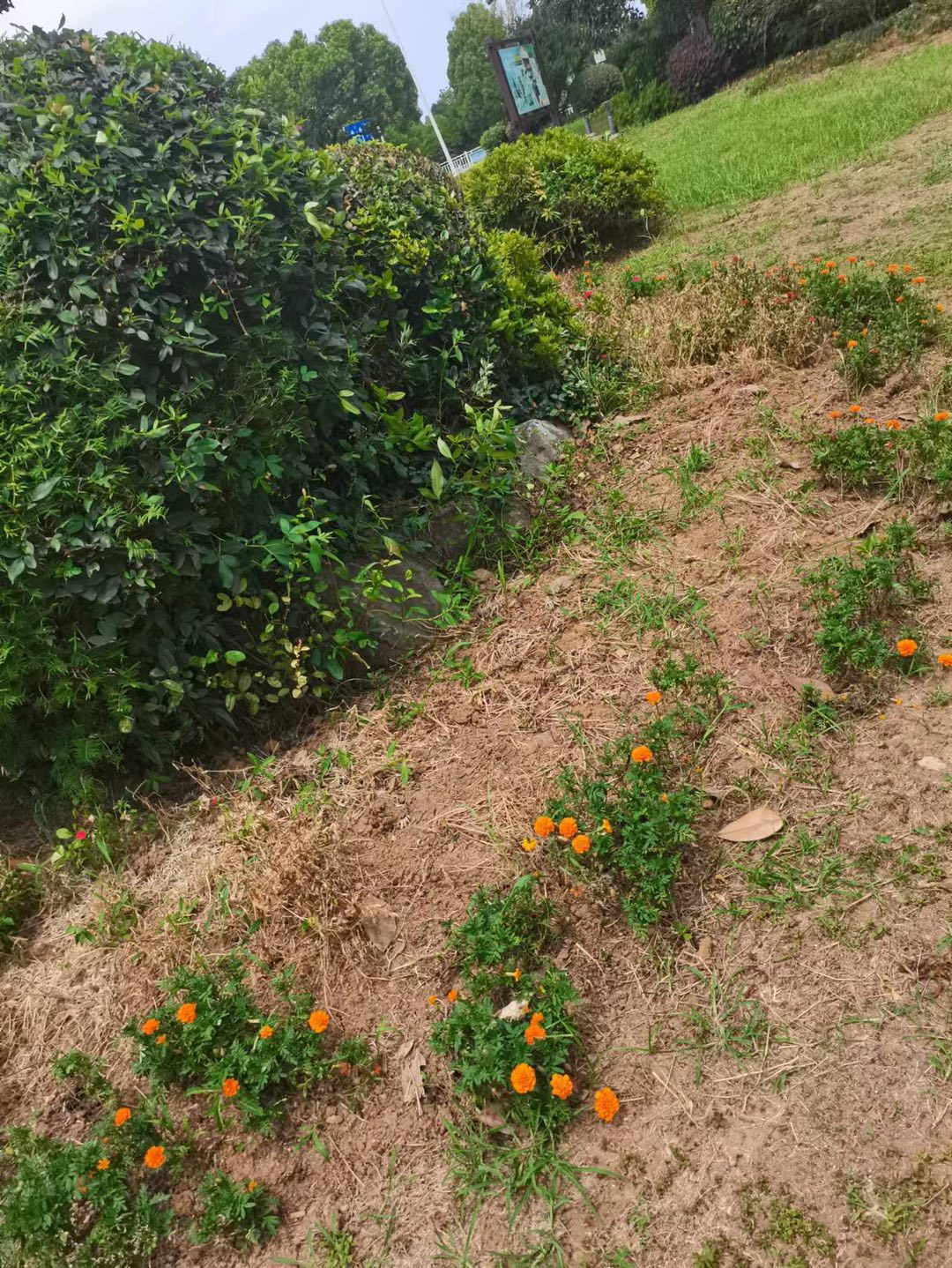 20230708131428front1_0_388826_Fpv4d0Q63U-rzcybfRGpFjygUSKd.jpg