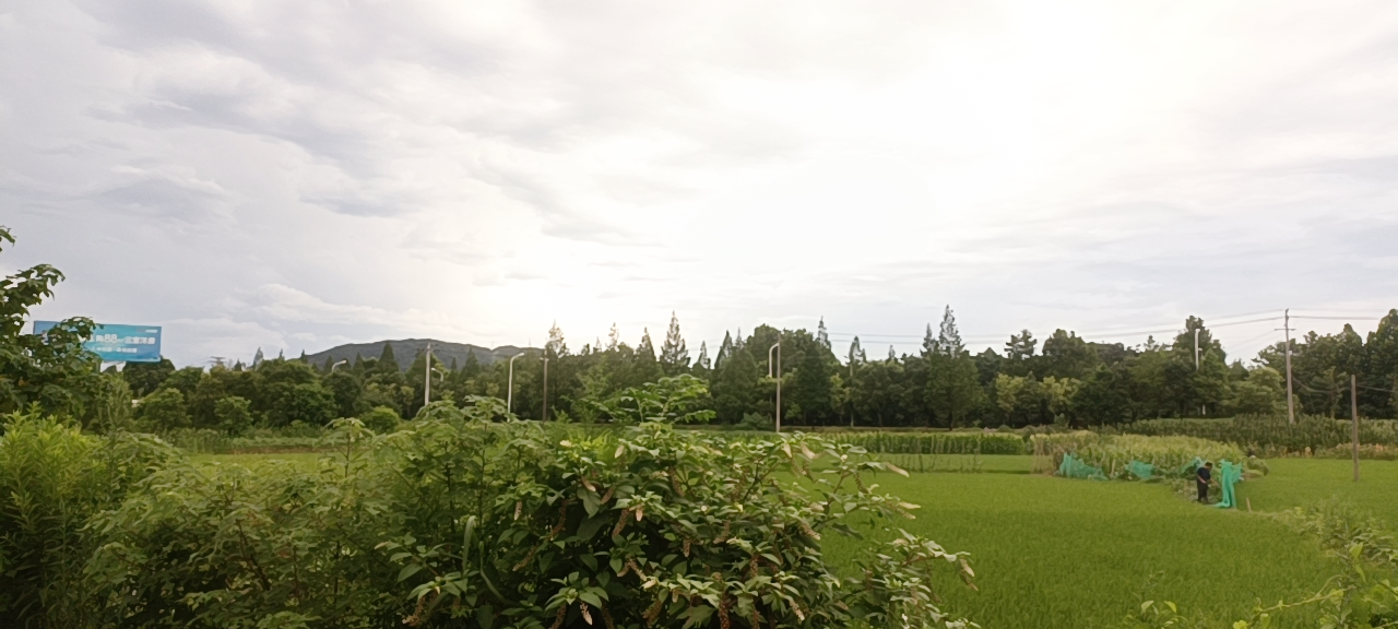 20230709181002front2_0_382215_FrPeUFB02f-bSKl6tKVGrZd-JqMn.png