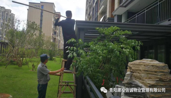 微信图片_20230711182232.png
