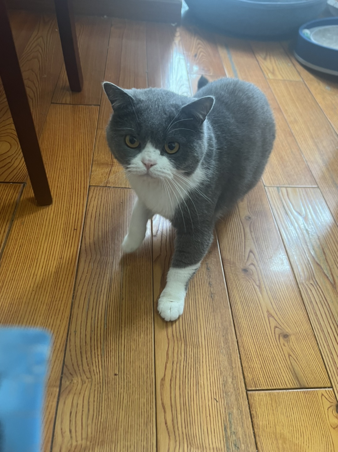 20230712192159front1_0_362520_FjPoOpMeRIs0C1Acm244XshwYX_W.jpg