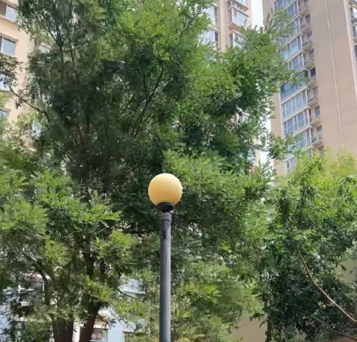 168931437349735975.png