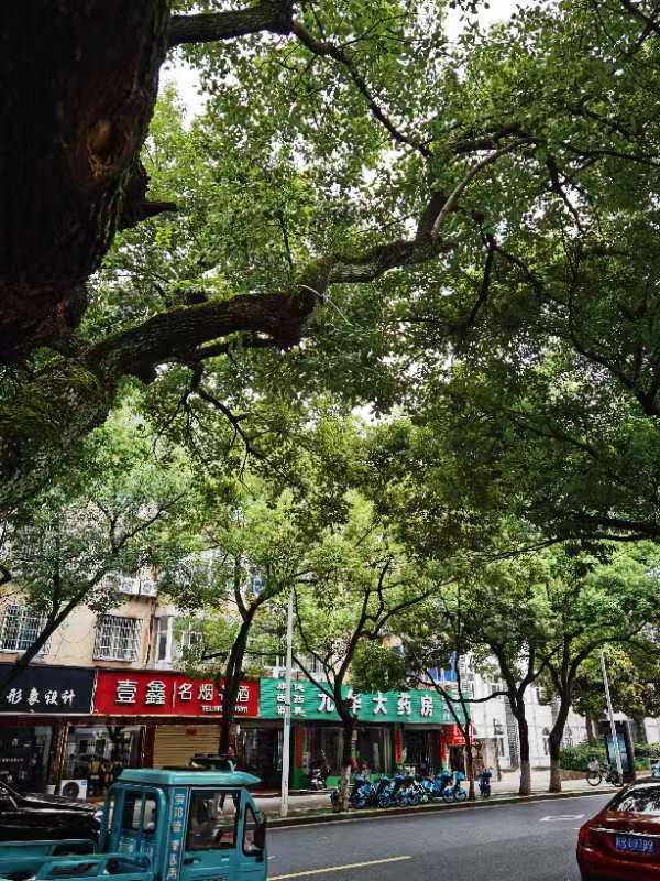 池阳路
