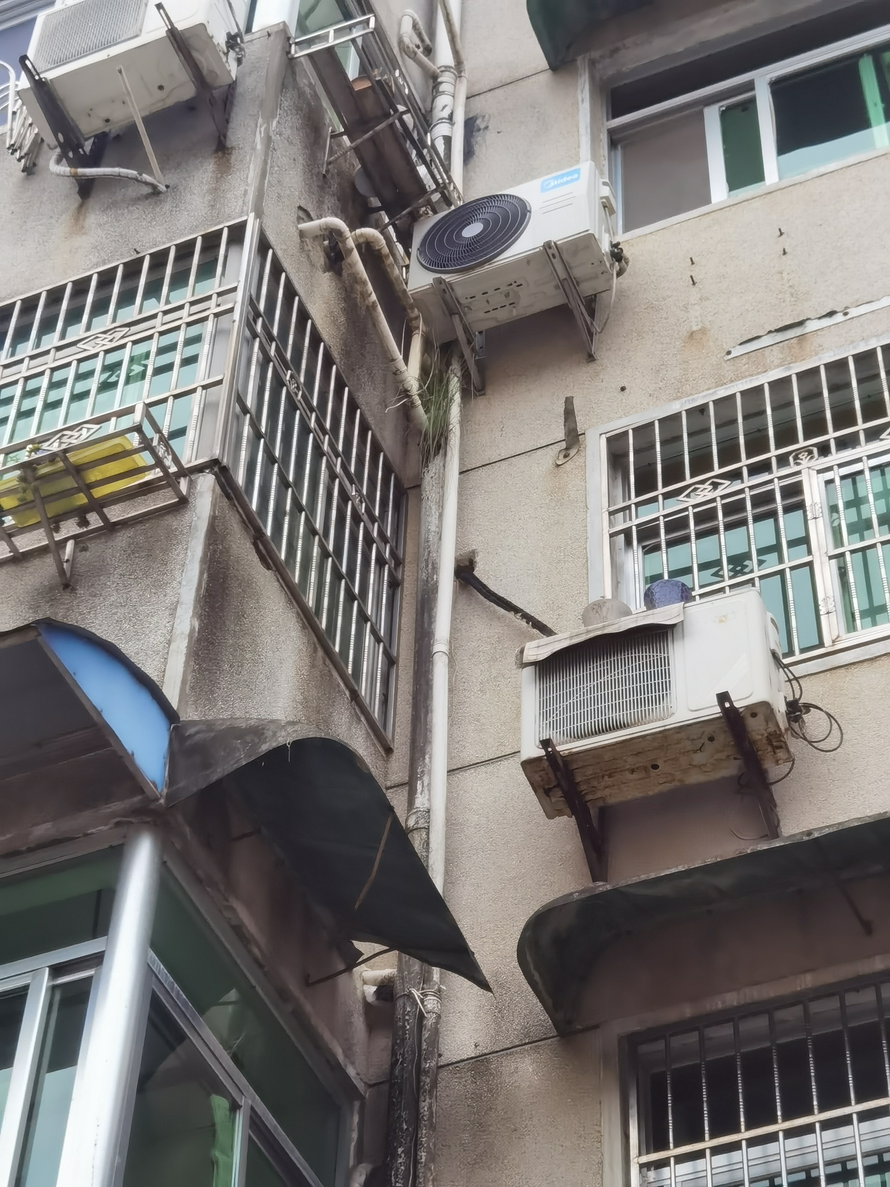 落水管里面长草了