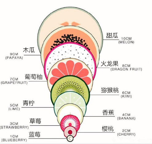 169025702684641585.png