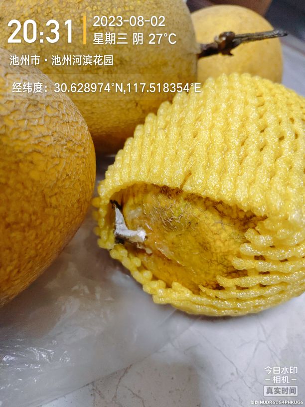 20230803185942front2_0_243015_FgbYk4T7J2Fbso4xdSfRV9WUAcGm.jpg