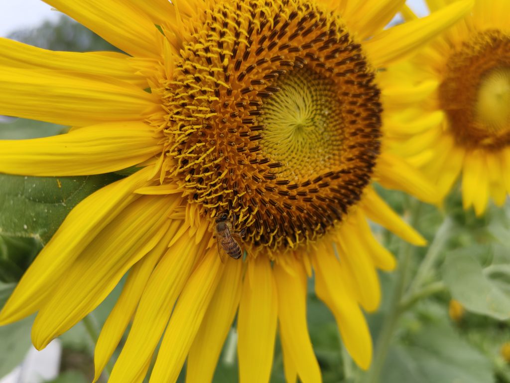 20230807065321front2_0_276521_Fs08fvqhb0kbCrU7Viv3OgpL1g1b.jpg