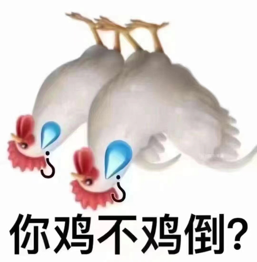 169182351184164946.jpeg