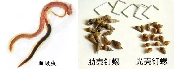 微信截图_20230817115439.png