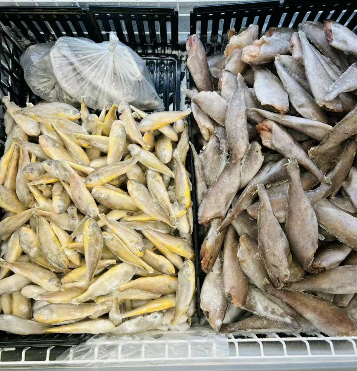 微信图片_20230824080649.jpg