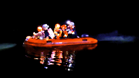11.gif