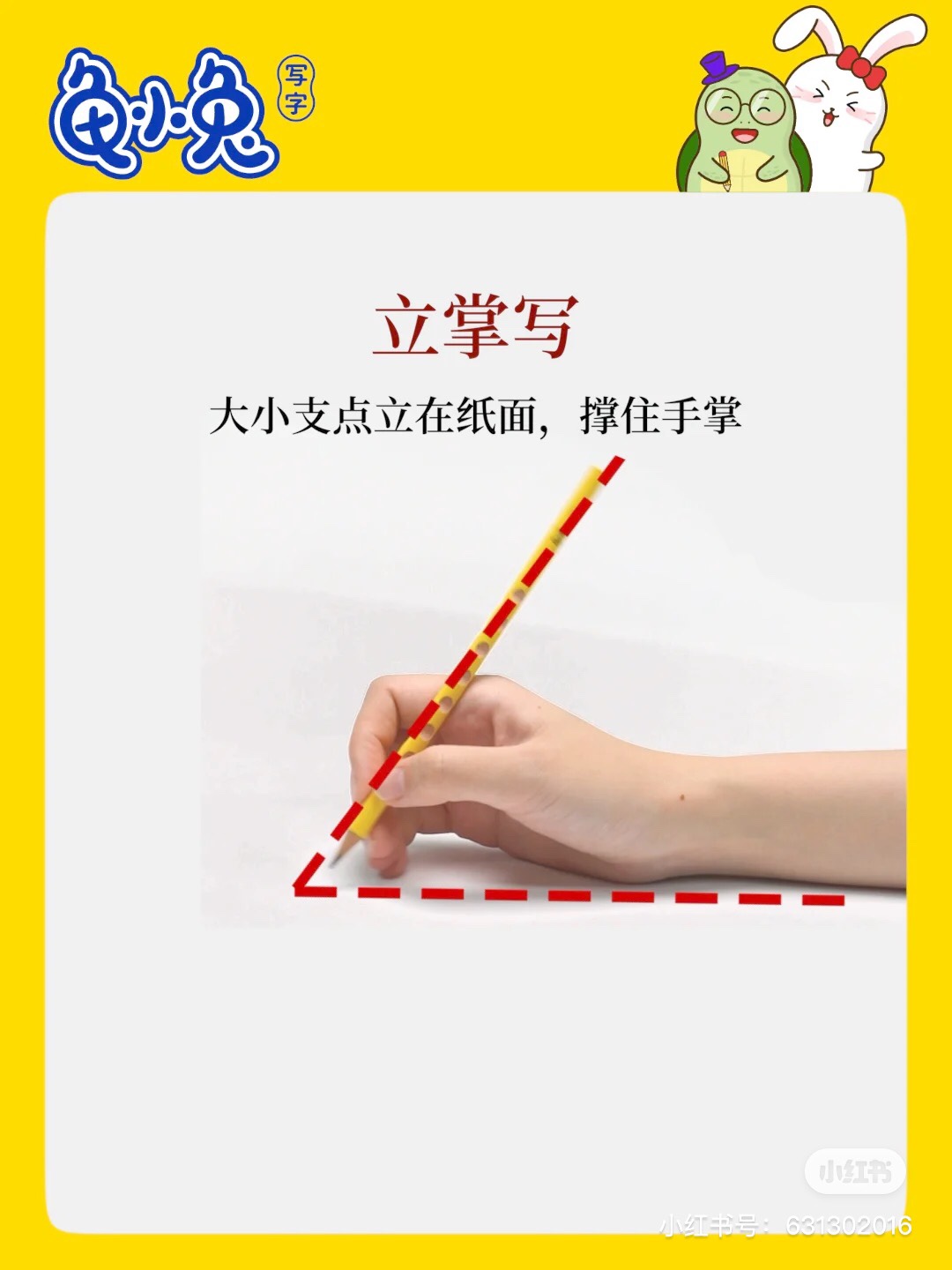 169390408419977313.jpeg
