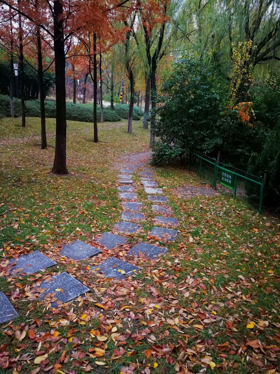 20230914211523front2_0_259079_FpTQszC1zWU2vyLNAvOvkR_oFVZD.jpg