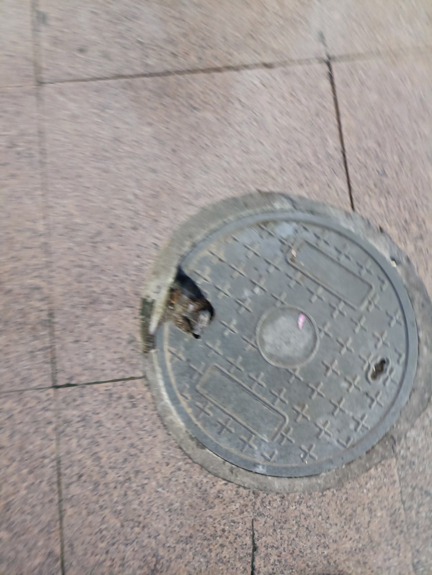 20230919201041front2_0_7567_FotksGZp0faWe4Wbwy2NGa5stvy0.jpg