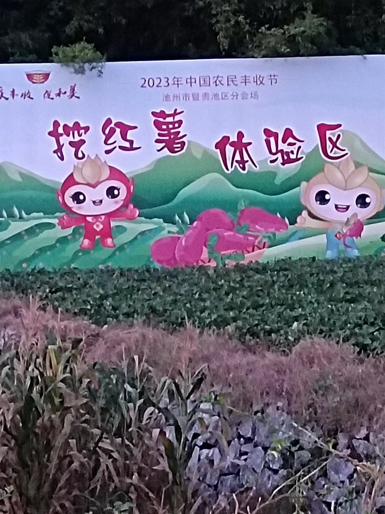 079c561897d3ea9370c7c986572d065.jpg