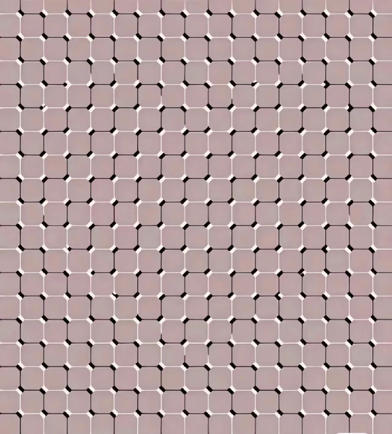 169528486185168451.jpeg