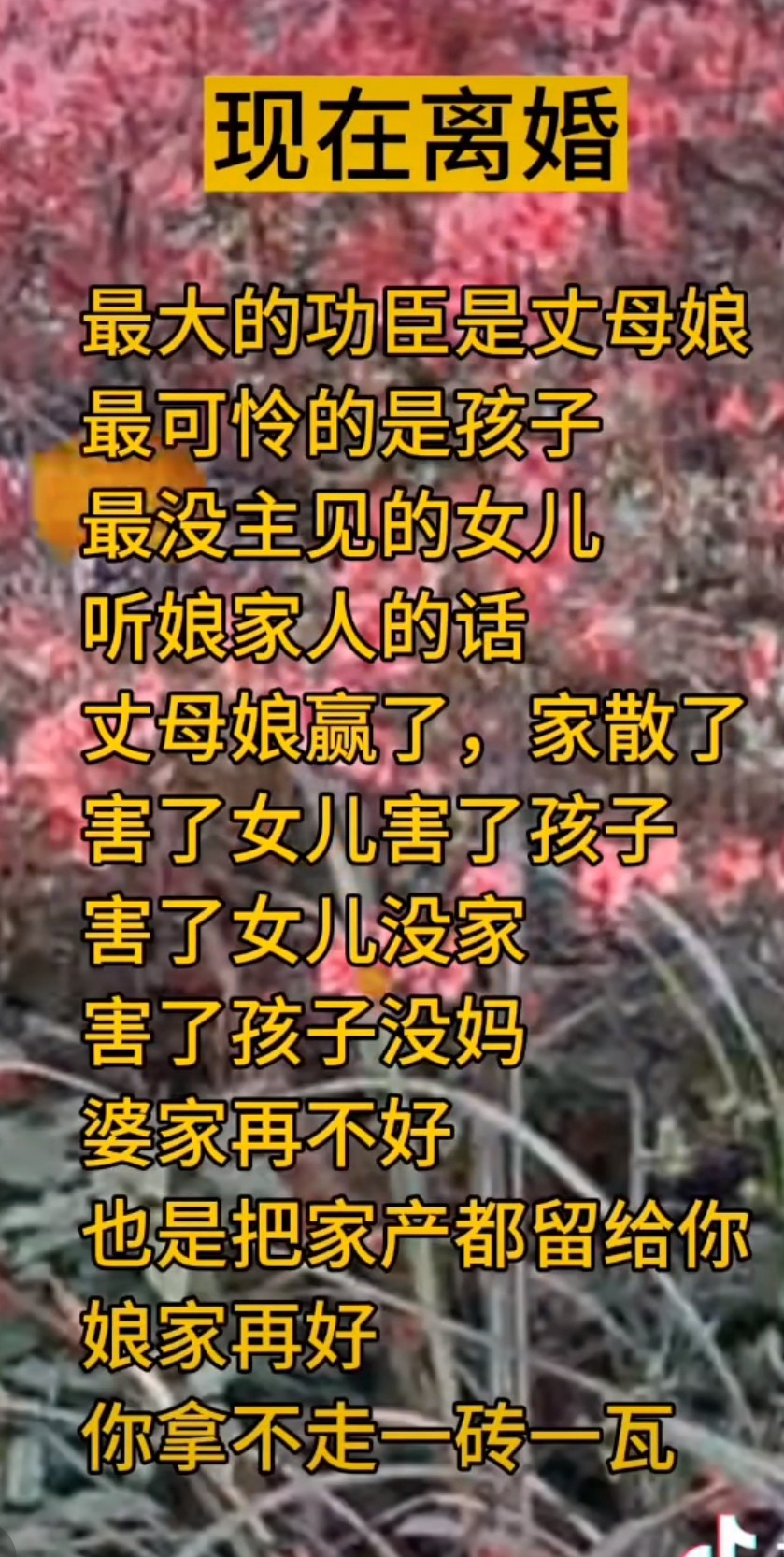 20230922093530front2_0_330417_FmXjKAsDF4nByAKKDZr_dIAIUjX2.jpg