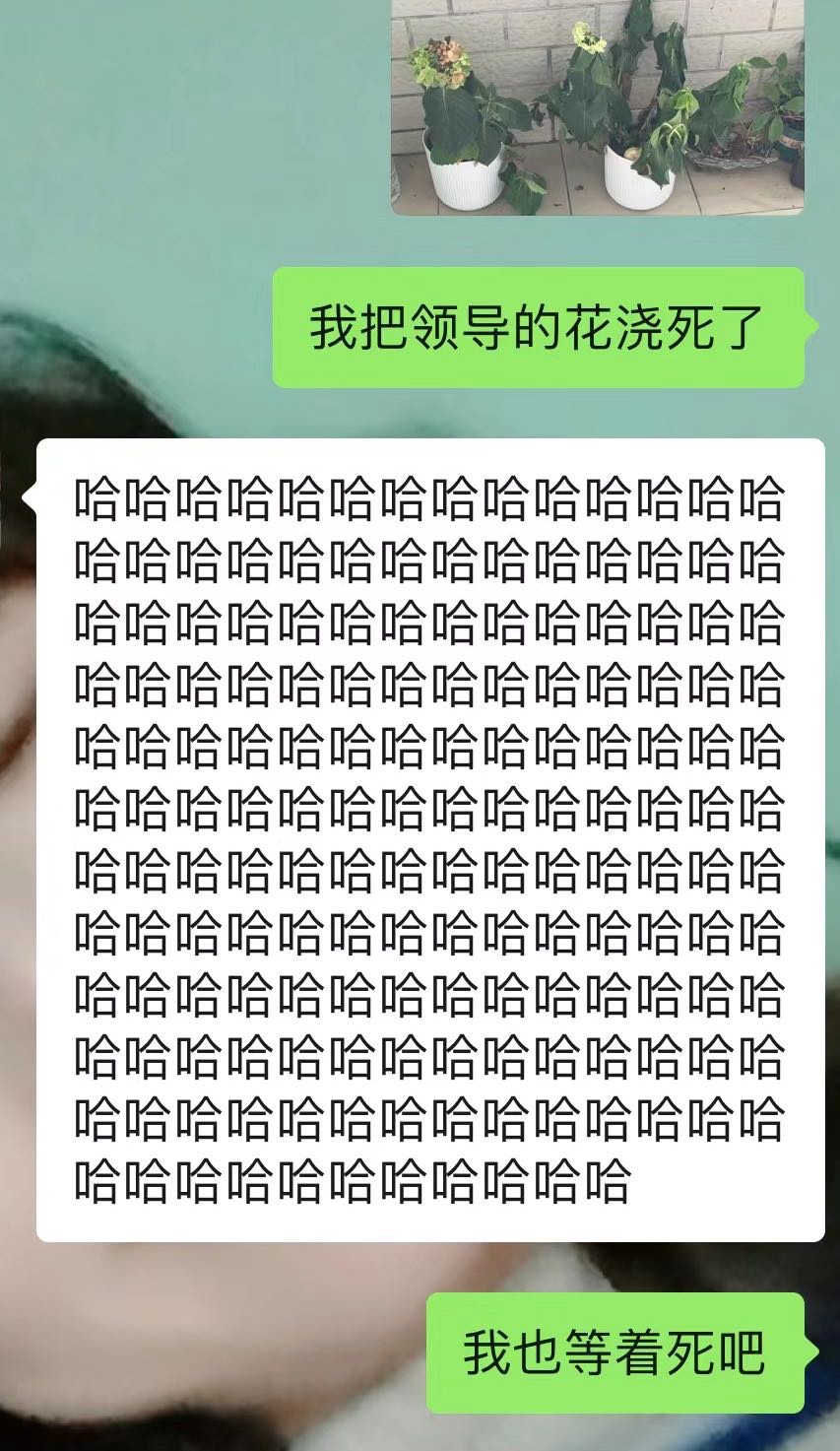 169547361818673697.jpeg