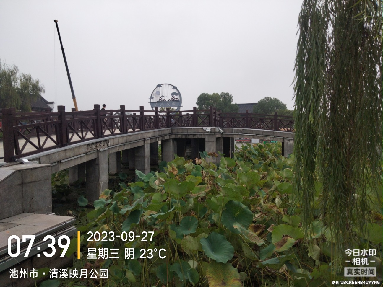 20230927124947front2_0_244192_FiQDLm1Tyc0J9ZDmtvtNMGX4t17y.jpg